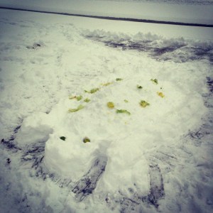 Well, we needed to make a snow turtle first. We called him Studs Turtle. 
